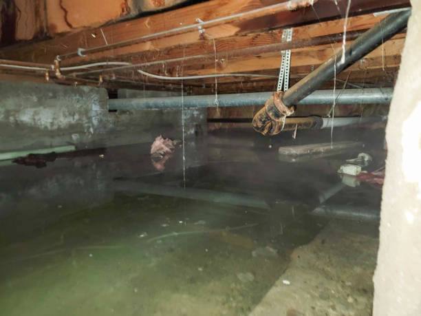 Best 24-hour water damage restoration  in Atkins, AR