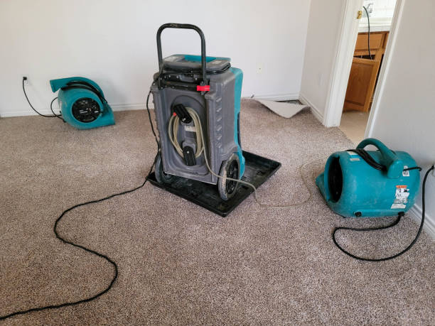 Best Local water damage restoration  in Atkins, AR