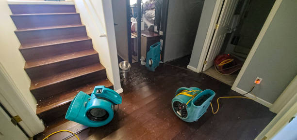 Best Water damage cleanup near me  in Atkins, AR