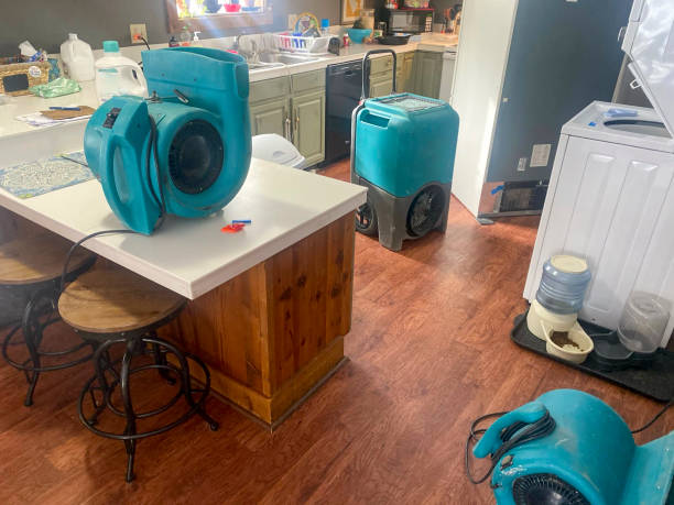 Best Mold removal after water damage  in Atkins, AR