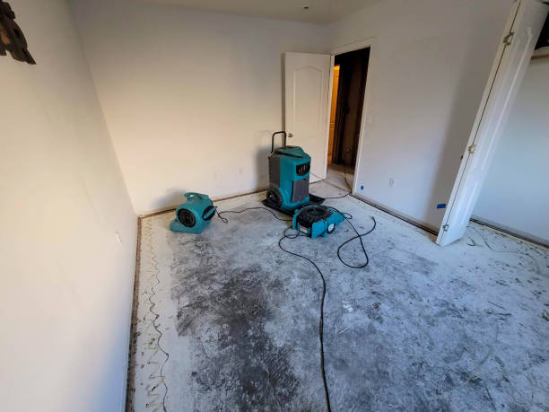 Best Commercial water damage restoration  in Atkins, AR