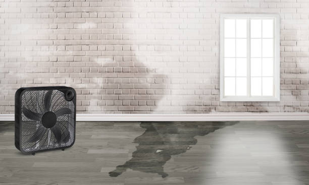 Local water damage restoration in AR