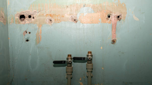 Best Carpet water damage restoration  in Atkins, AR