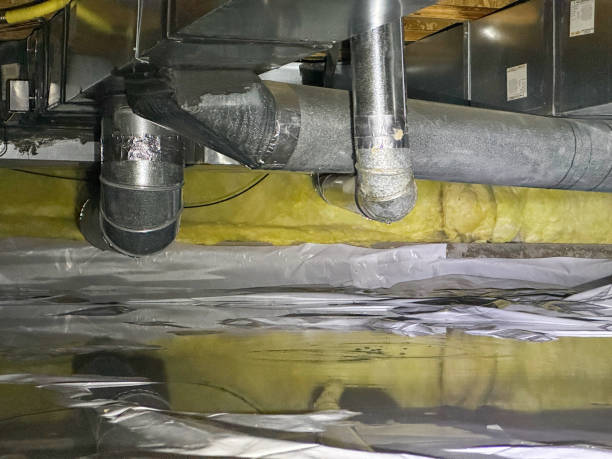 Carpet water damage restoration in AR
